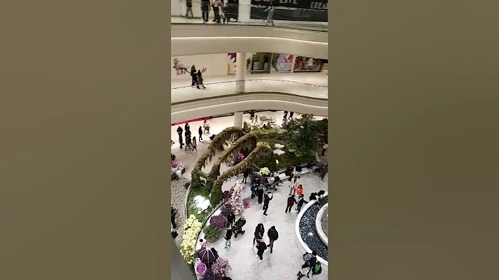 beautiful garden  inside the mall