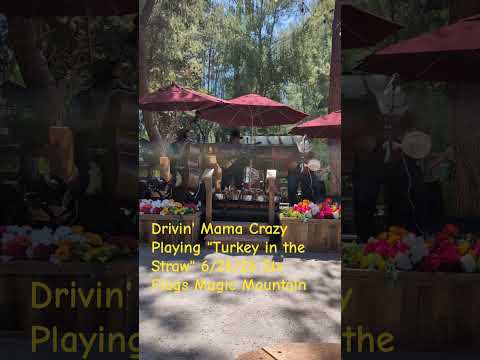 Drivin' Mama Crazy Playing "Turkey in the Straw" 6/26/26 Six Flags Magic Mountain #shorts