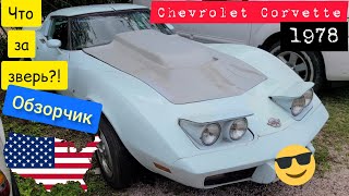 Авто из США. Chevrolet Corvette 1978. Что за зверь?! Американская мечта. Краткий обзор. Авто клиента