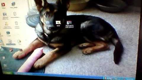 How to mod clan tag with usb mw2