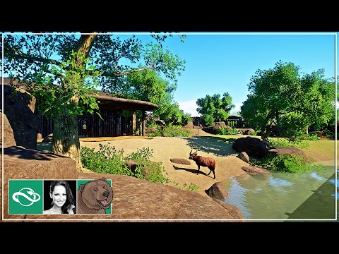 🐻-bongo-habitat-|-rebuild-|-speed-build-|-planet-zoo-franchise-mode-|-ep.-4.5-|