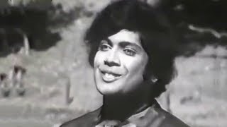 Video thumbnail of "සීත මෝසම් ගීත නාදෙන් Seetha Mosam (Audio) H R Jothipala"