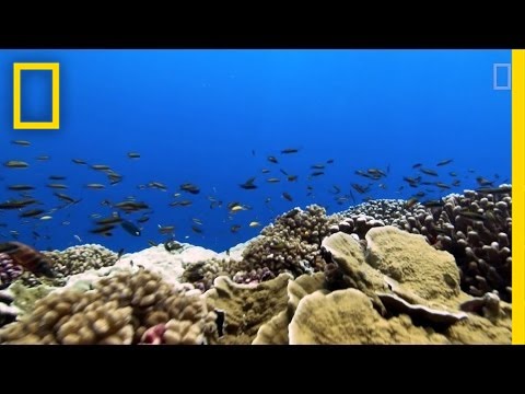 Video: Wie beeinflussen marine Biome die Temperatur an Land?
