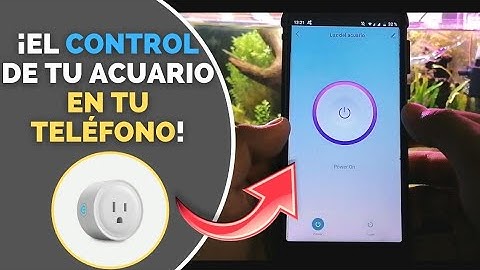 ¡Controla tu Acuario desde tu Smartphone! | La forma más simple de hacerlo | Kleiner Aquarium