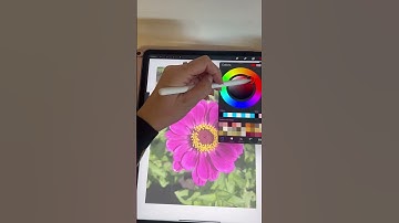Procreate tip! How to use a private reference photo for time-lapse videos!
