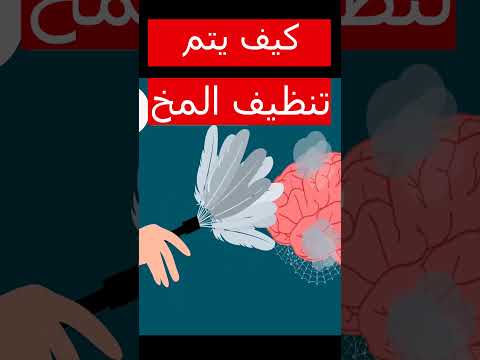 كيف يتم تنظيف المخ المخ الدماغ النوم معلومات معلومة اليوم شريف القفاص اكسبلور 