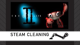 Steam Cleaning - Fish Fillets 2