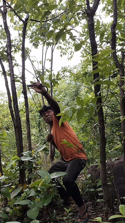 #bird #hunting #with #slingshot #runing shot
