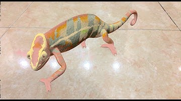 ARKit new sample by Apple - Realistic chameleon (Changes color & bites)