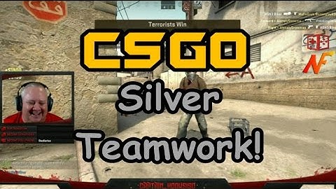 CSGO Silver Teamwork