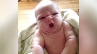 PRICELESS FACES of BABIES GETTING SURPRISED - The FUNNIEST BABY REACTION videos