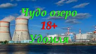 18 Рыбалка на чудо озере Удомля Калининская АЭС 