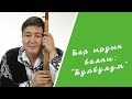 Бир ырдын баяны: "Булбулум"