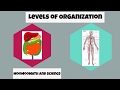 Levels of Life Organization from Cells to Ecosystems