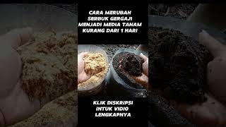 CLICK HERE❗CHANGE SAWSUDDIN INTO PLANTING MEDIA IN LESS THAN 1 DAY