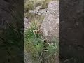 You Ll Be Able To See What Was Being Recorded Before The Accident You Ll Be Able To See What Was Being Recorded Before The Accident