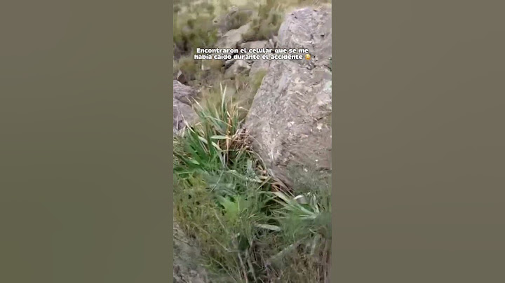 Van a poder ver lo que estaba grabando antes del accidente..