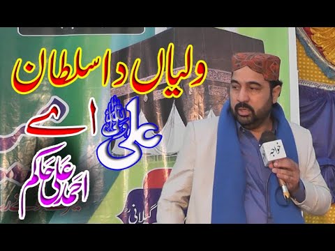 Waliyan Da Sultan Ali Ay Ahmad Ali Hakim
