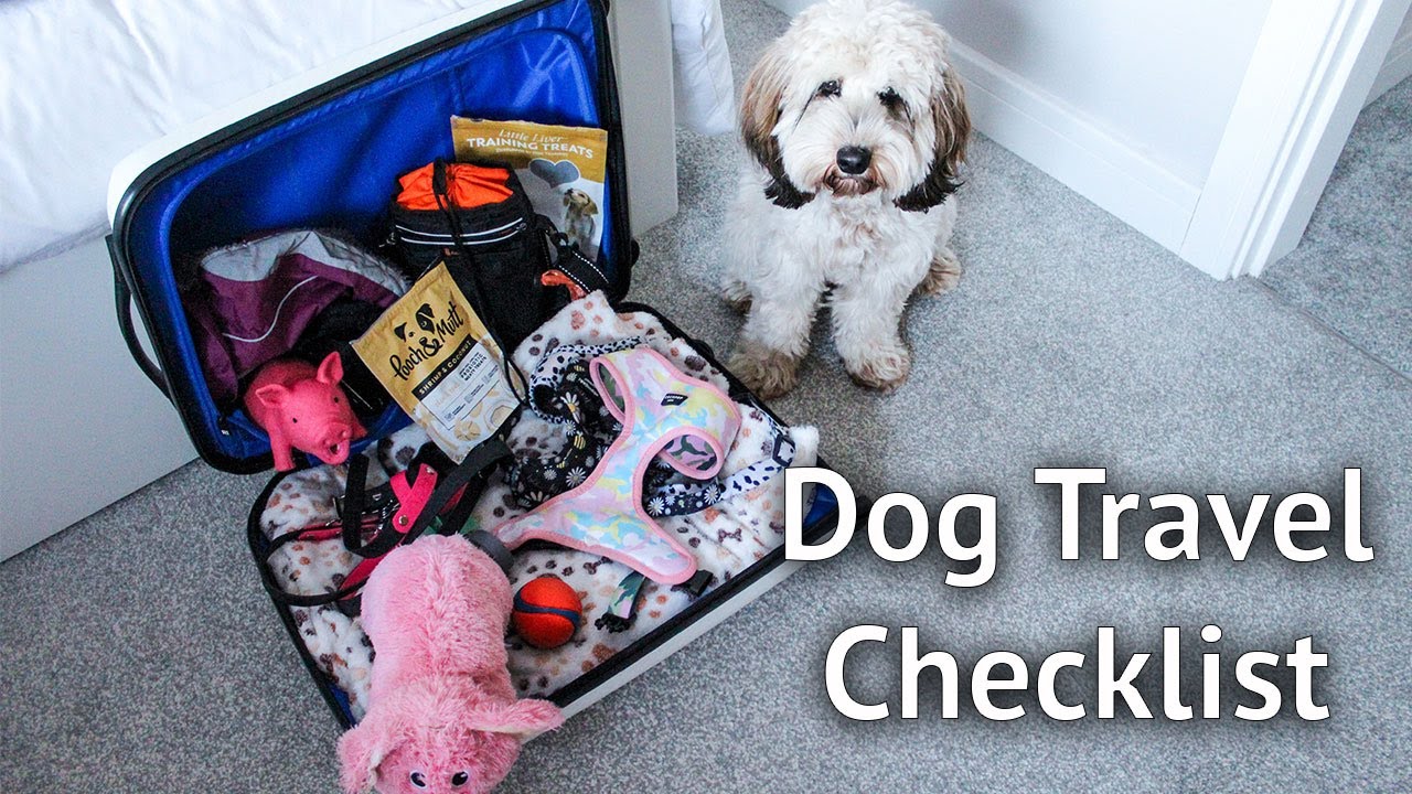 dog-holiday-checklist-everything-you-need-to-pack-if-going-on