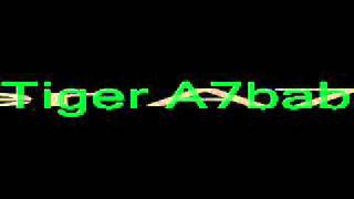 Ayman Zbib Na3Im El Shi5 Mix Raw3Aa