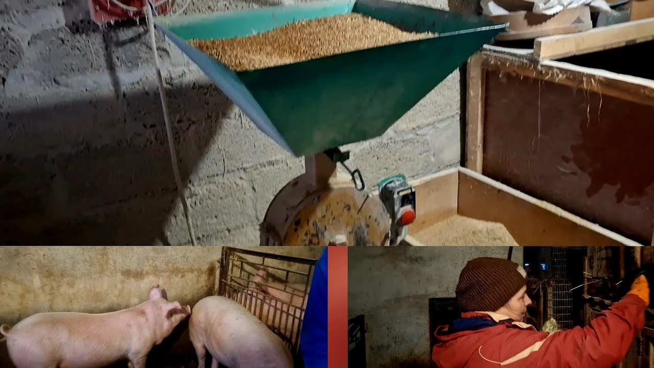 Наше сільське життя: тварини та млинок своїми руками