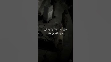 تلاوة خاشعة ومؤثرة للشيخ ماهر المعيقلي #قران #اكتب_شي_تؤجر_عليه