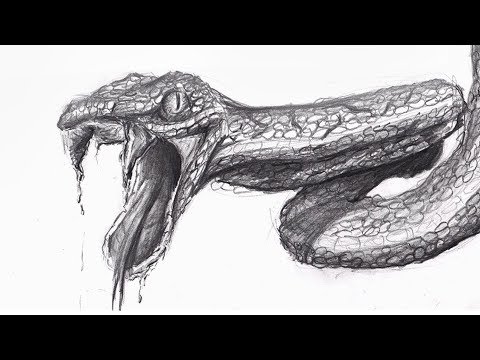 Vidéo: Comment Dessiner Un Serpent Avec Un Crayon