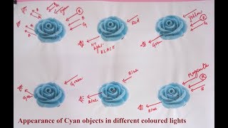 Simple explanation of appearance of Cyan objects in different coloured lights