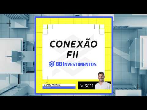 FII Connection | Vinci Shopping Centers | VISC11