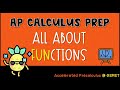 Understanding Rational Functions