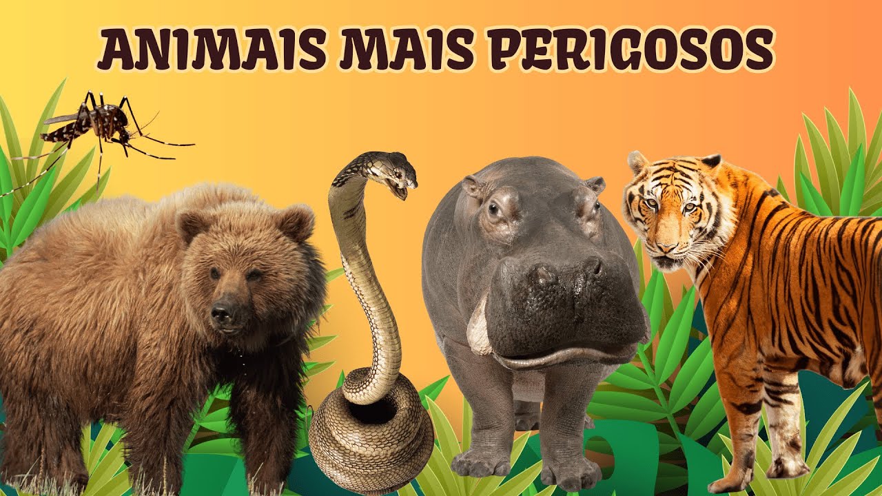 Aprenda os Nomes dos Animais Mais Perigosos - Aprender o Nome dos ...