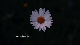 Selman Sendrom - Bembeyazdın Papatya Şiiri