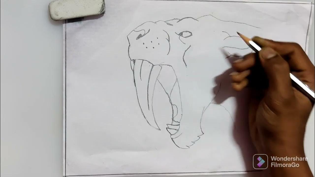 BEST way How to Draw Sabretooth Tiger- Smilodon #trending #youtube ...