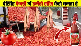 जानिए फैक्ट्री mai kaise बनती है Tomato Ketchup #facts #factory