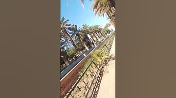 القارئ ياسر الدوسري #قرآن #الجزائر #اكسبلور #المغرب #تيك_توك #مصر #لايك #السعودية #love #viral #fypシ