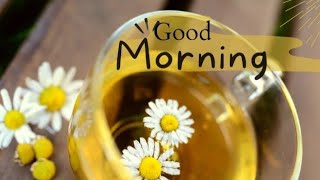 Good morning pictures,blessings,greetings, quotes, lucky day,namaste早安图片,早安祝福问候,早上好,幸福快乐,人生感悟,人生格言 Good morning pictures,blessings,greetings, quotes, lucky day,namaste早安图片,早安祝福问候,早上好,幸福快乐,人生感悟,人生格言