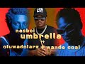 Nasboi Ft. Oluwadolarz & Wande Coal - Umbrella (Official Remix Video)
