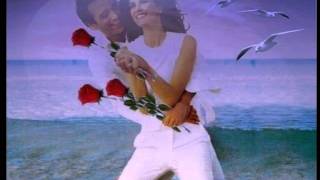 Miniatura del video "I Santo California - Dolce Amore Mio"