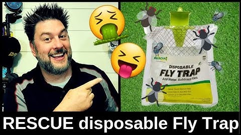 🚫 🪰Rescue Outdoor Fly Trap. How to get rid of Flies 🚫🪰[515]