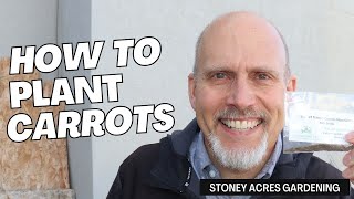 How to Plant Carrots