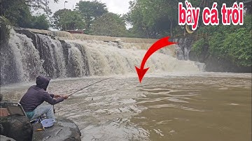 Câu đài tự nhiên mùa nước lũ đụng bầy cá trôi giật đã tay luôn | câu cá tự nhiên 