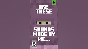 WHICH MINECRAFT SOUNDS DID I MAKE?