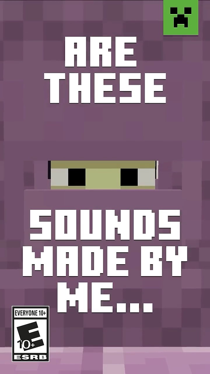 WHICH MINECRAFT SOUNDS DID I MAKE?