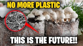 Why Mycelium Fungus Could Be The Future of Plastic