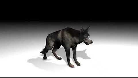 FALLOUT 3, 3D models+animations 1 (.c4d)