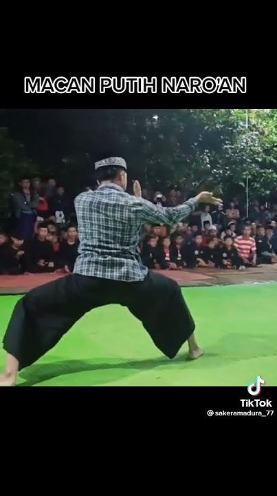 pencak silat macan putih