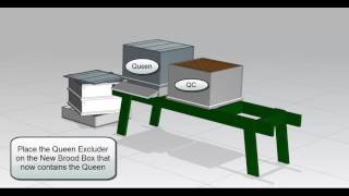 Swarm Control using the Demaree Method