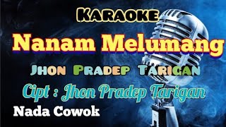 NANAM MELUMANG | KARAOKE LAGU KARO | NADA COWOK