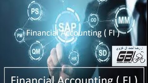 Display and Review General Ledger Account Balances and Individual Line Items SAP  FI  9