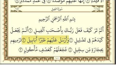 سورة الفيل مكررة 30 مرة ماهر المعيقلي